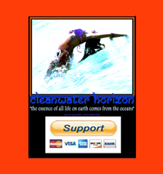 CleanwaterHorizon Support