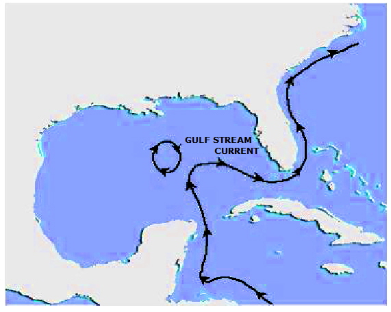 formation of EDDY in the Gulf